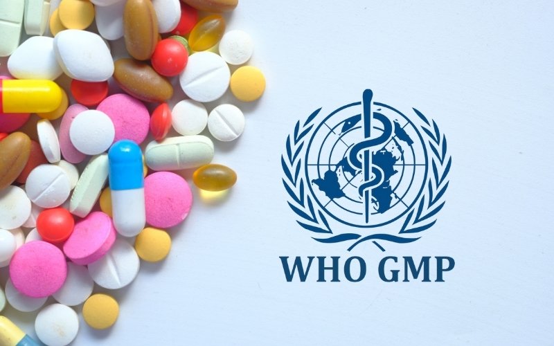WHO-GMP Certified Manufacturer